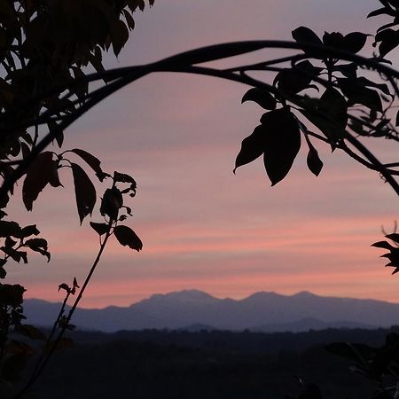 Loubieng Maison Artigouha Bed & Breakfast エクステリア 写真