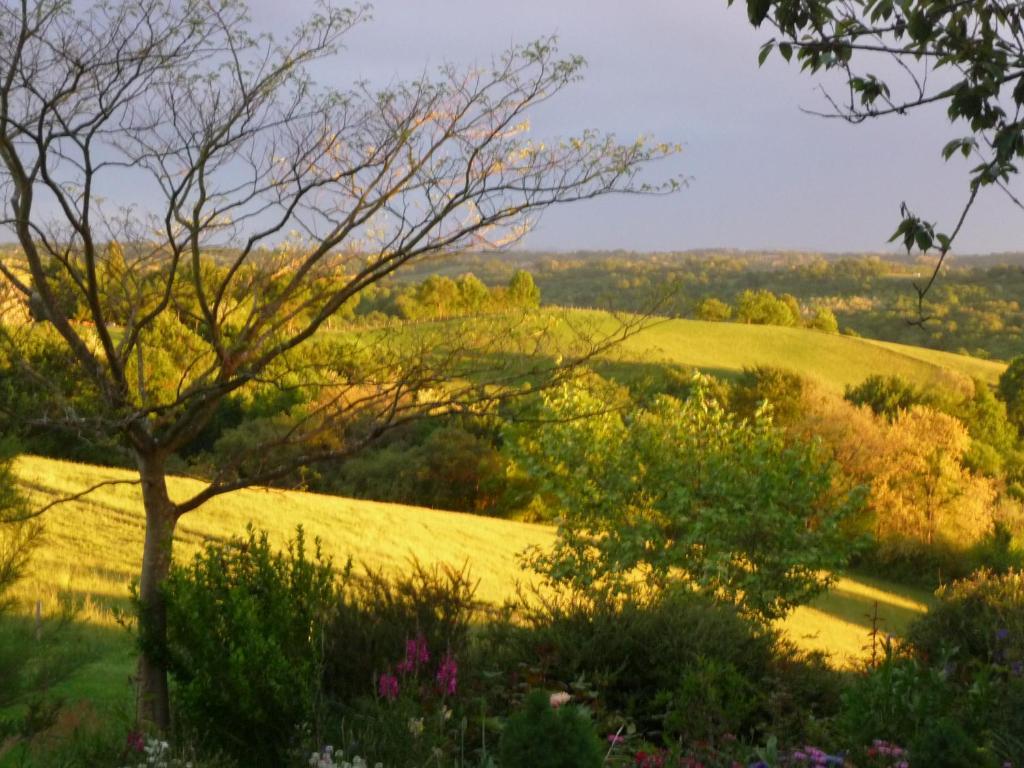 Loubieng Maison Artigouha Bed & Breakfast エクステリア 写真