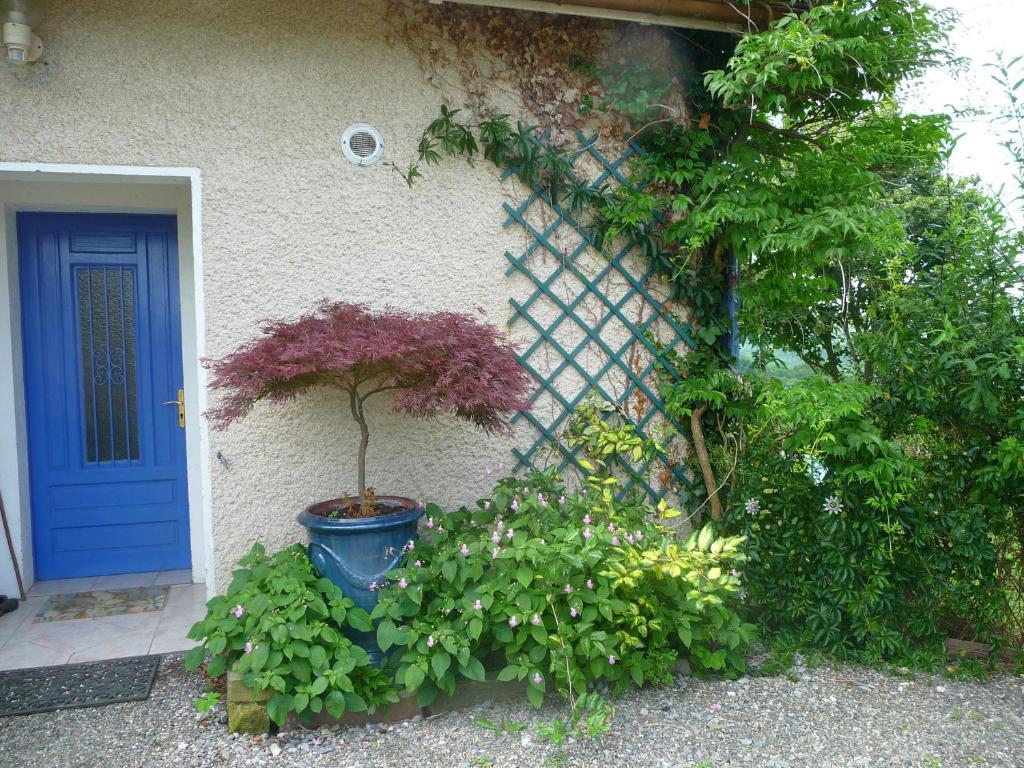 Loubieng Maison Artigouha Bed & Breakfast エクステリア 写真